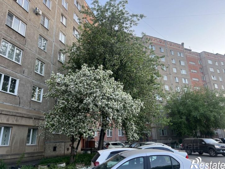 1-комн квартира улица Труда, 49/1,  д. 49/1