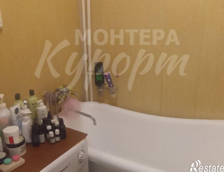 1-комн квартира ул Менделеева, 21,  д. 21